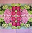 288 Roses (S) - 3-ply